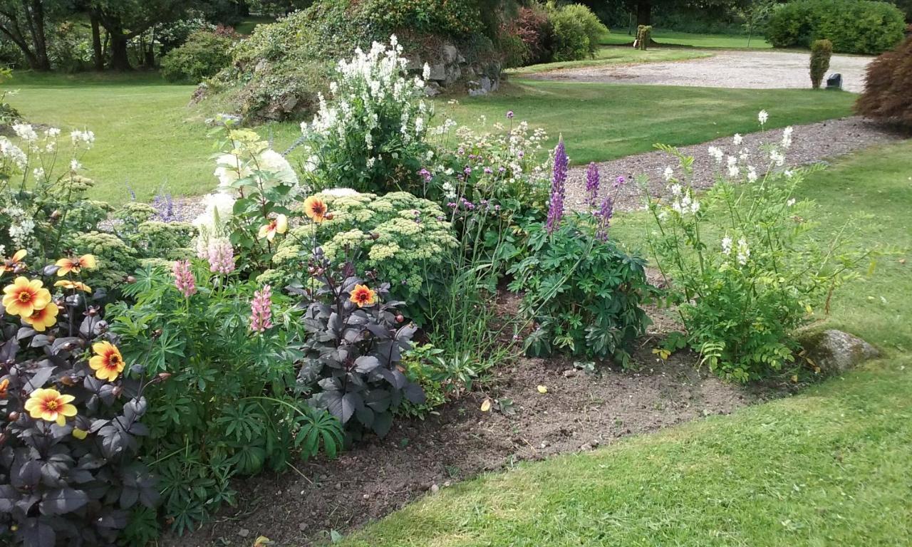 Courtyard Cottage Carlow Luaran gambar